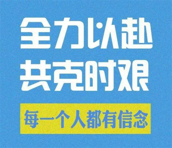 1728434421560260.jpg 4.jpg