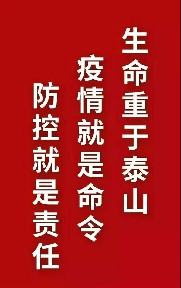 1728434697825525.jpg 55.jpg