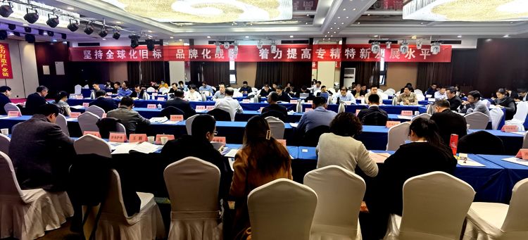 1728719987561550.jpg 20.jpg