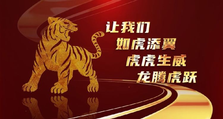 1728720071609473.jpg 25.jpg