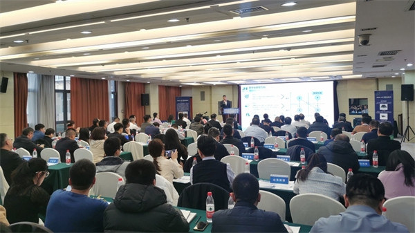 1728875799513559.jpg 11.jpg