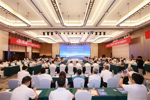 1765156725723334.jpg 10.jpg